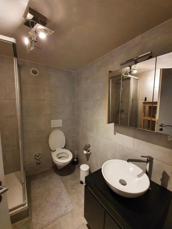 Modern Studio With Mezzanine Le Mont-Sur-Lausanne Екстериор снимка