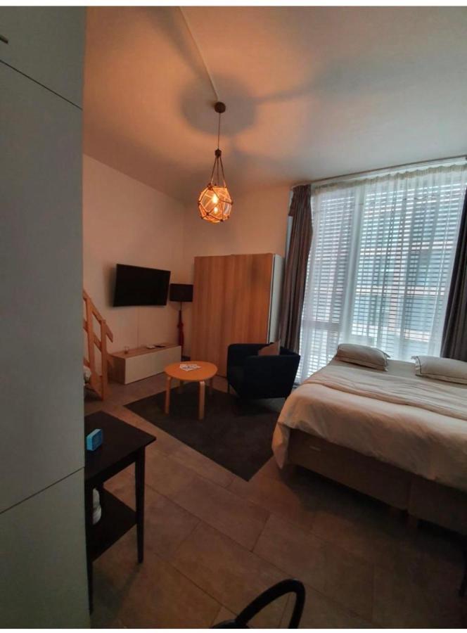 Modern Studio With Mezzanine Le Mont-Sur-Lausanne Екстериор снимка